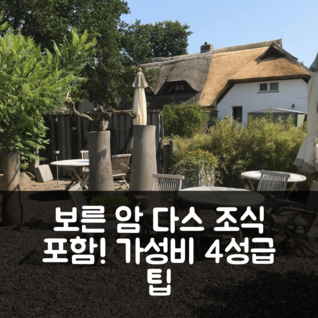 보른 암 다스 숙소 여행 카유테 1 호텔 | 조식과 가성비 뛰어난 4성급 예약 팁 5가지