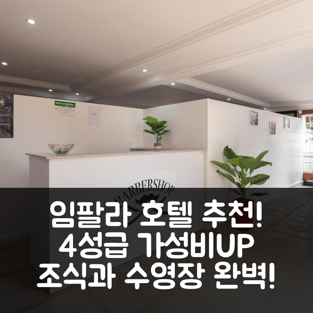 나이로비 숙소 여행 호텔 추천 임팔라 호텔 | 4성급 가성비와 조식, 수영장 즐길 수 있는 7가지 팁