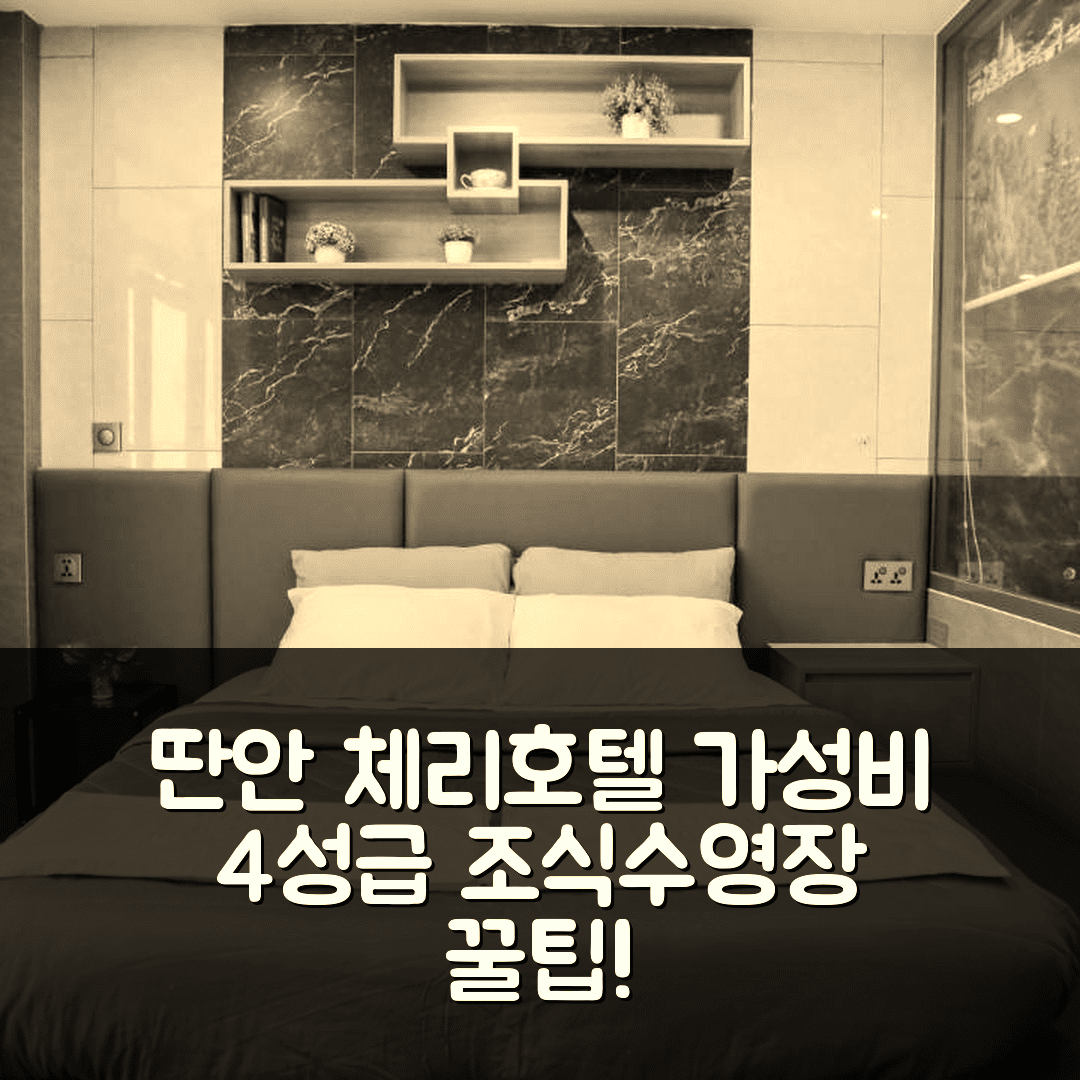 딴안 숙소 여행 호텔 추천 체리 호텔 벤룩 | 가성비 최고 4성급 조식과 수영장 즐기기 5가지 팁