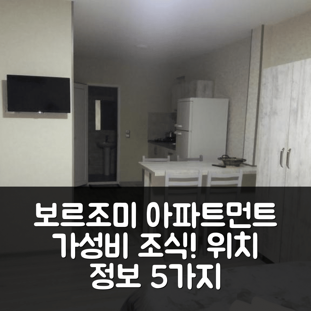 보르조미 숙소 여행 아파트먼트 라샤 기오르기 | 가성비 좋은 조식과 위치 정보 5가지