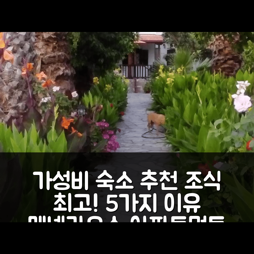 레포카스트론 숙소 여행 호텔 추천 메넬라오스 아파트먼트 | 가성비와 조식이 뛰어난 5가지 이유