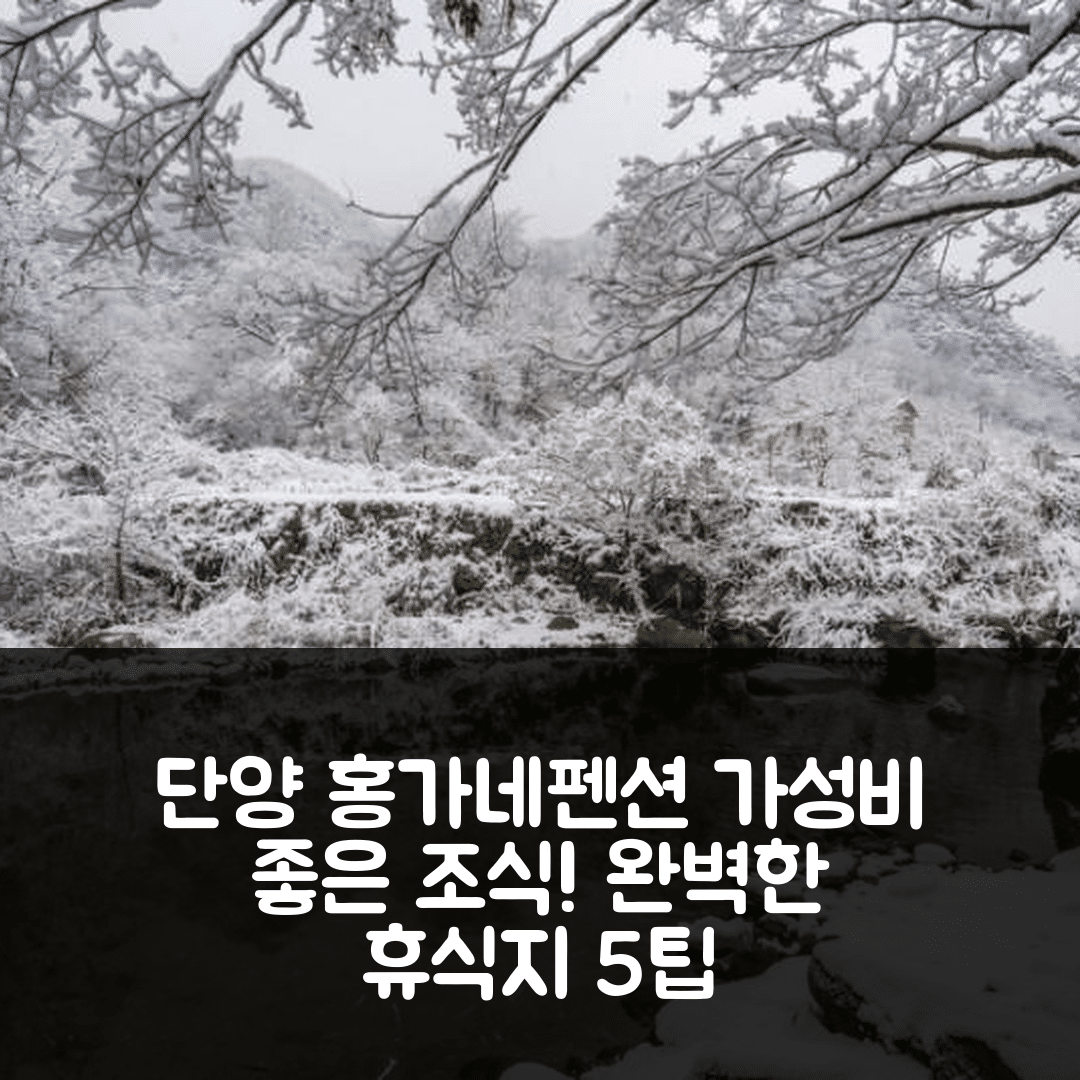 단양 숙소 여행 호텔 추천 단양 홍가네펜션 | 가성비 좋은 조식과 수영장으로 완벽한 휴식지 5가지 팁