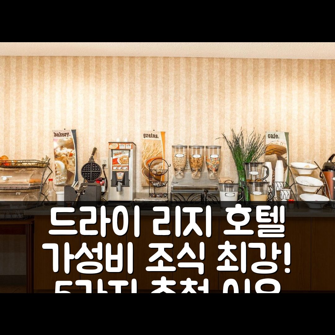 드라이 리지 숙소 여행 호텔 추천 마이크로텔 인 앤 스위트 | 가성비 뛰어난 조식과 위치 완벽한 5가지 이유