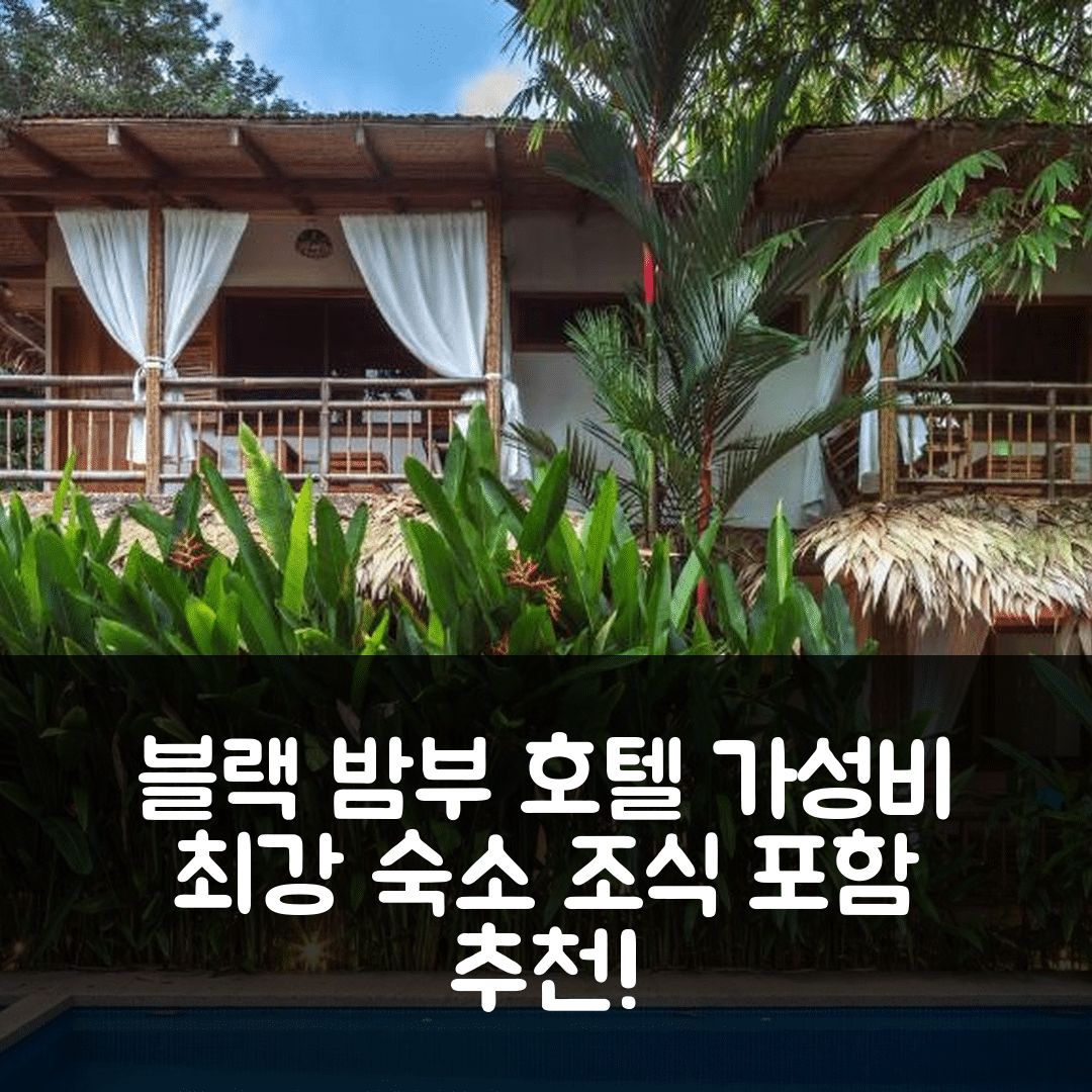 푸에르토 비에호 데 탈라망카 숙소 여행 호텔 추천 블랙 밤부 호텔 | 조식과 가성비 뛰어난 위치 정보 7가지