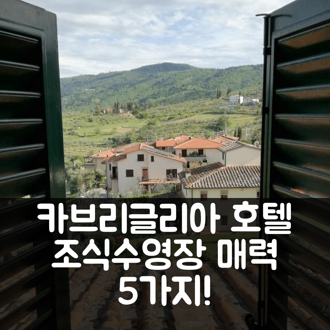 카브리글리아 숙소 여행 호텔 추천 빌리노 키안티 | 조식과 수영장이 매력적인 5가지 이유