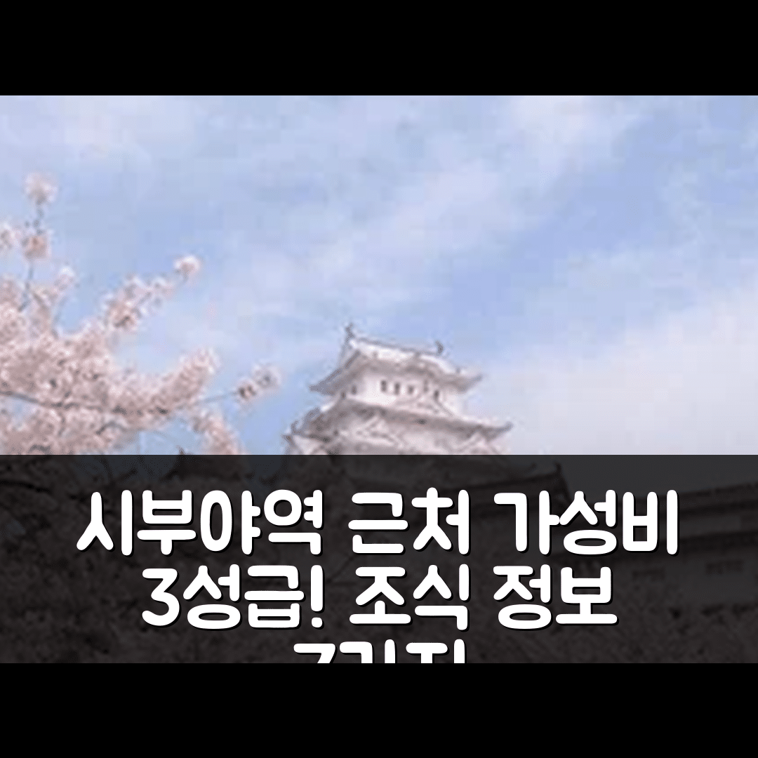 도쿄 숙소 여행 호텔 추천 시부야역 근처 아파트 | 가성비 좋은 3성급 위치와 조식 정보 7가지