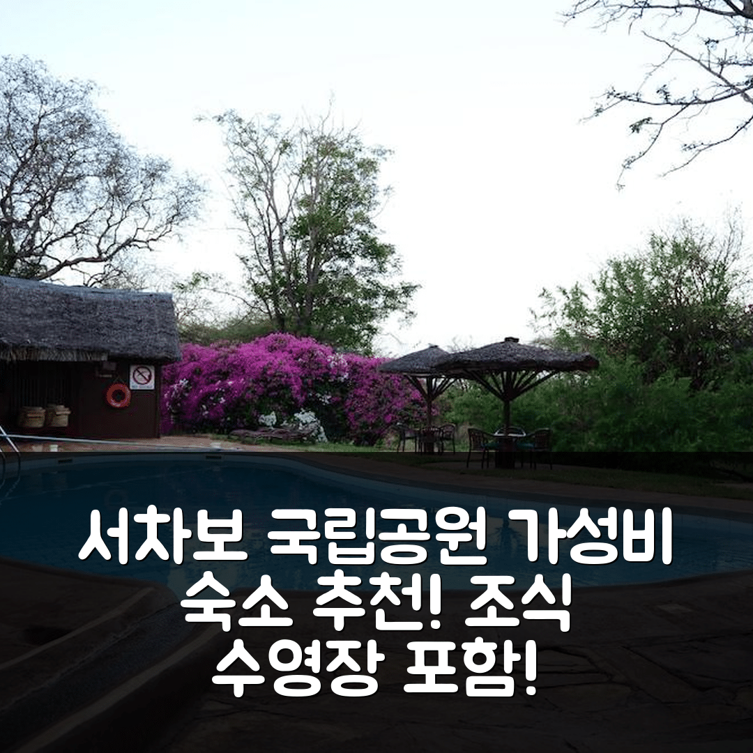서차보 국립공원 숙소 여행 호텔 추천 키라구니 세레나 사파리 로지 | 가성비와 조식, 수영장 포함한 5가지 필수 정보