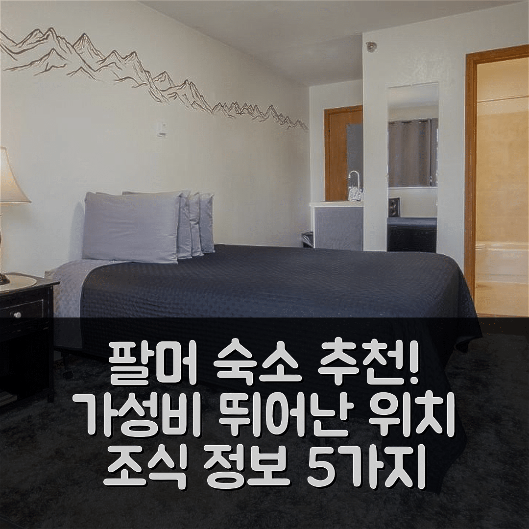 팔머 숙소 여행 호텔 추천 파이오니어 모톨 | 가성비 뛰어난 위치와 조식 정보 5가지