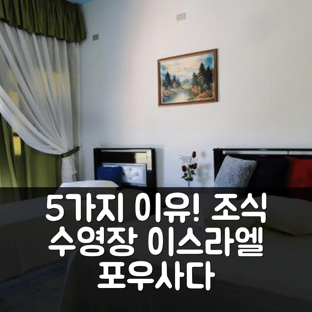 피레노폴리스 숙소 여행 호텔 추천 포우사다 이스라엘 | 조식과 수영장이 매력적인 5가지 이유